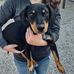 Carlee Floyd - Facebook