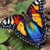 Carla Floriano - Facebook