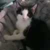 KarlaFrederick - @jadenbku68d - TikTok