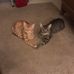Karla Galbraith - Facebook