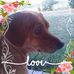 Karla Hoke Gamble - Facebook