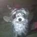 Karla Gilmore - Facebook