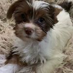 Karla Gregg Childs - @karlakanu - Instagram
