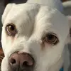 Karla Zurowski Hand - @karla.zurowski.ha - TikTok
