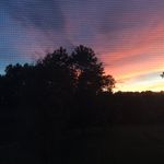 Karla Hartman - @hartman12345 - Instagram