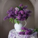 Karla Hartman Gardner - @karlagardner64 - Instagram