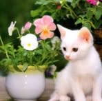 Karla Hiller Hiller - Facebook