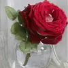 Karla.Horne - @karlahornewxsguxm - TikTok