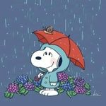 Karla Hostetler - @karly4me - Instagram