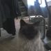 Karla Hubbard - Facebook