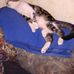 Karla Hubbard - Facebook