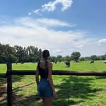 karla - @karla_jansen_van_rensburg - Instagram