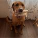 Karla Kellogg - Facebook