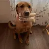 karlakellogg2 - @karlakellogg2 - TikTok