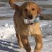 Karla Kruse - Facebook