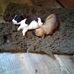 Karla Lowry - Facebook