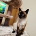 Karla Mann - Facebook