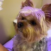Karla Marron - @itskarla.10 - TikTok