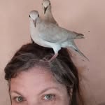 Karla Martinelli G Sudario - @martinellisudario - Instagram