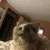 karlamartinelli - @karlamartinelli - TikTok
