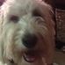 Karla McKenzie - Facebook