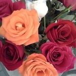 Karla Nickerson - @msk58n - Instagram