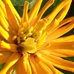 Karla Gengler-Nowak - @kgenglernowak - Instagram