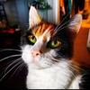 Karla O'Neill - @karlaoneill2283 - TikTok