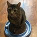 Carla Pace - Facebook