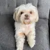 karla pagan - @karlapagan84 - TikTok
