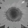 Karla palacio - @karladenisse08 - TikTok
