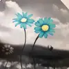 Karla Palmer - @karlakp11 - TikTok