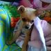 Karla Paul - Facebook