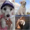 Karla Pavon - @karla.pavon2 - TikTok