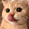 Karla Pazos - @karlapazos28 - TikTok