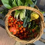 Karla Pearson - @inmyfrontgarden - Instagram
