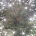Karla Pelkey - Facebook