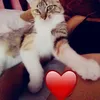 Karla Pérez Alonso  - @karlaperezalonso - TikTok