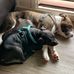 Karla Perry - Facebook