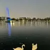 Karla - @karlapetersen - TikTok