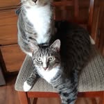 Karla Phillips - @karlaphillips402 - Instagram