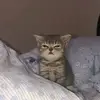 Karla Plata - @karla_plata2 - TikTok