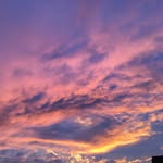 Karla Giannini Platt - @kggiannini - Instagram