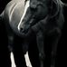 Karla Powers - Facebook