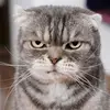 karlapowers346 - @karlapowers346 - TikTok