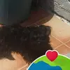 Karla Prieto - @karla.prieto3 - TikTok