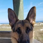 Karla Putnam - @country476 - Instagram