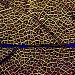James Karl Rauschendorfer - @jamesrauschendorfer - Instagram