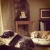 Karla Randolph - Facebook
