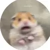 karlarobbles02 - @karlarobbles02 - TikTok